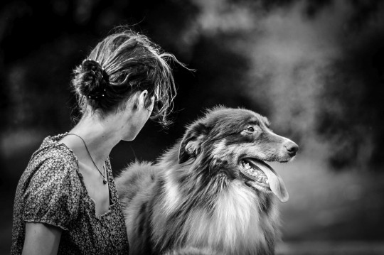 Evelyne Brun, photographe chien
